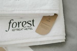 Рекреационный комплекс Forest Retreat Center. Апартаменты 6-местный Forest Пентхаус 30