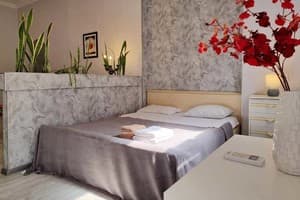 Квартира Home Hotel ул. Костёльная, 9. Стандарт двухместный однокомнатная квартира 2